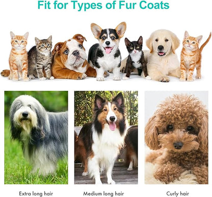 Pet Grooming Kit