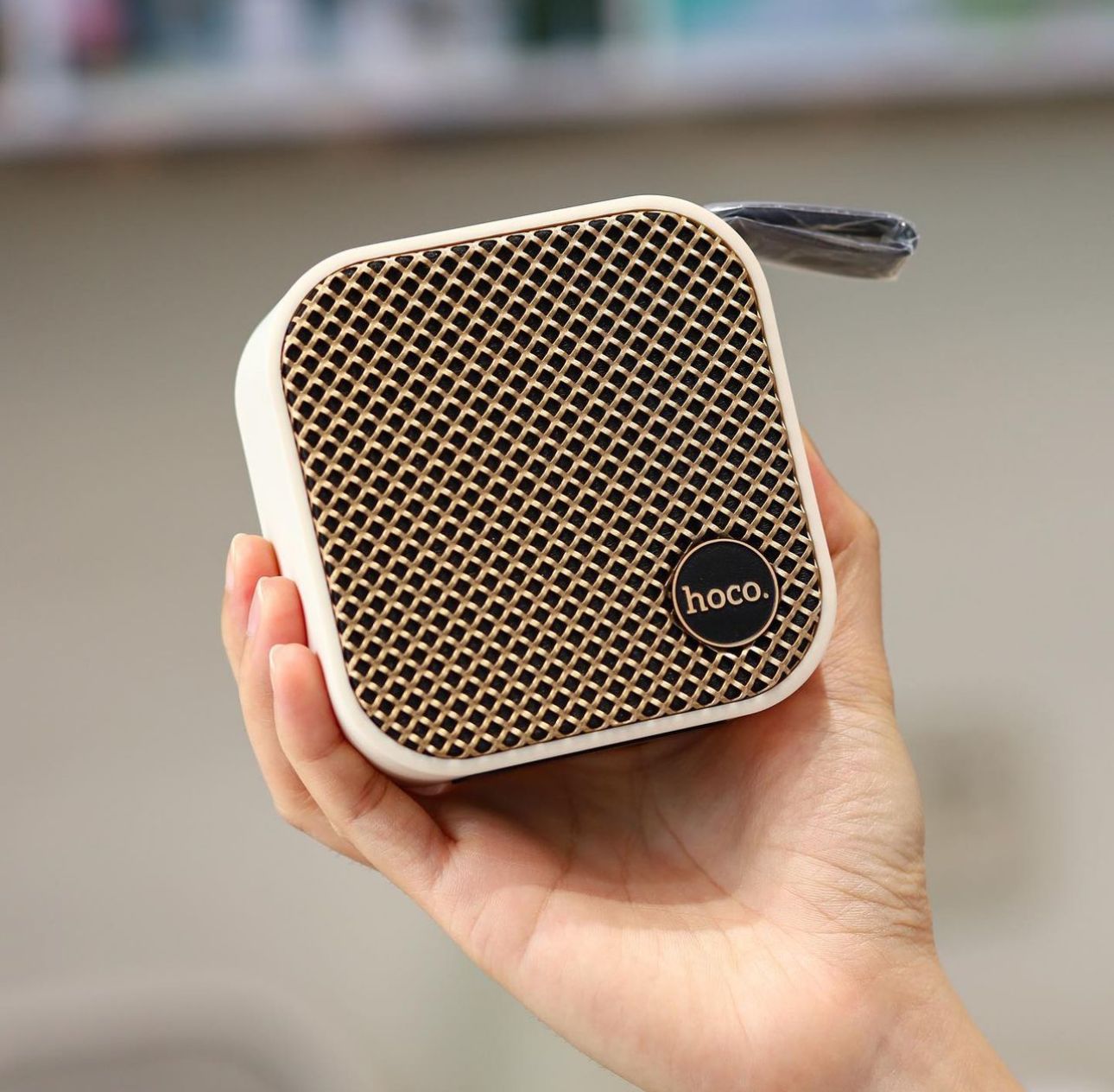 Hoco HC22 BT Speaker